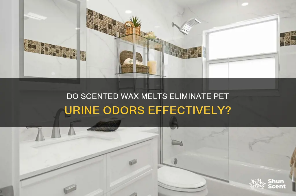 can scented waxes absorb pee smell