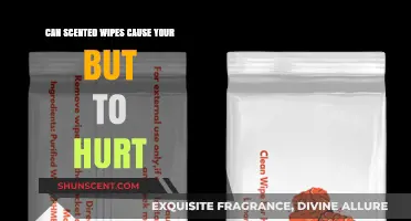 Scented Wipes and Butt Pain: What’s the Connection?