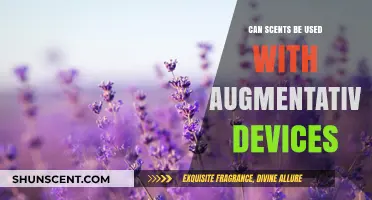 Enhancing Augmentative Devices: The Role of Scents in Communication and Therapy