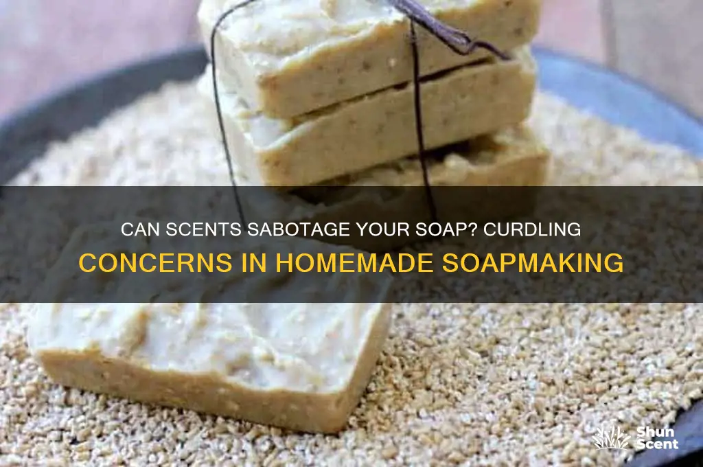 can scents cause homemade soap to curdle