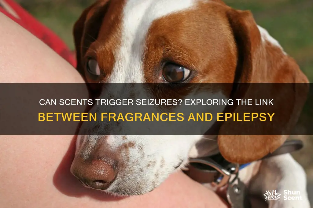 can scents cause seizures