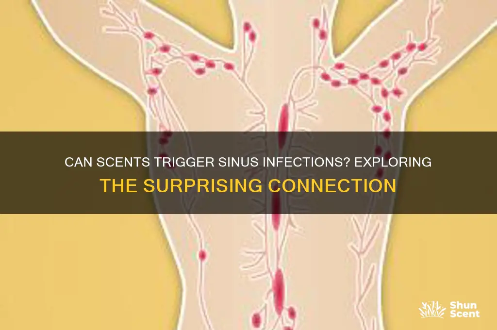 can scents cause sinus infections