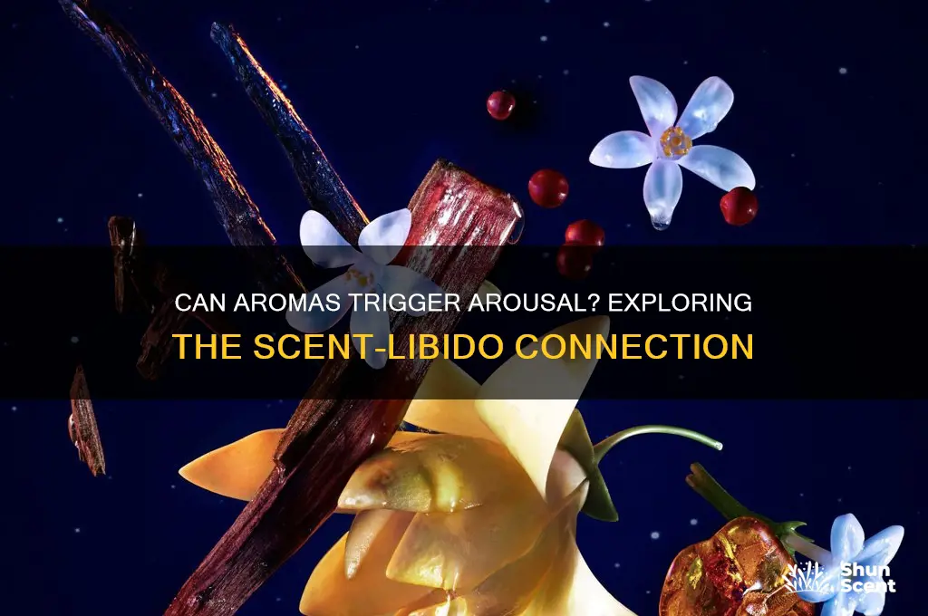 can scents give you a boner