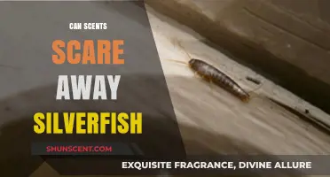 Do Essential Oils and Scents Repel Silverfish? Uncover the Truth