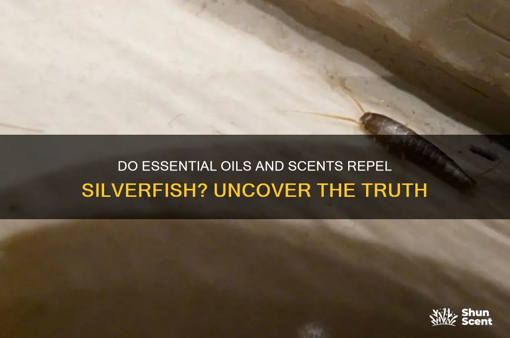 can scents scare away silverfish