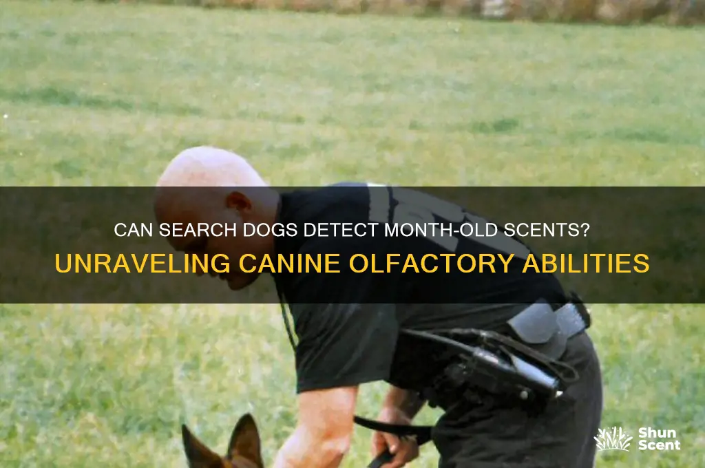 can search dogs smell a scent 1 month old