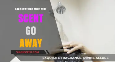 Does Showering Eliminate Body Odor? Debunking Scent Myths and Facts
