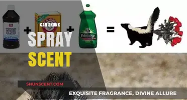 Can Skunk Spray Scent Be Removed? Effective Tips and Remedies