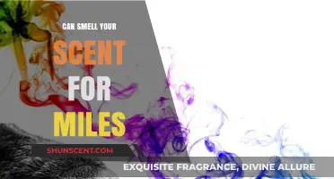 Scent Signals: How Animals Detect Scents from Miles Away