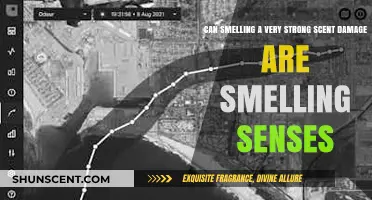 Strong Scents and Smell Sensitivity: Can Overpowering Aromas Cause Damage?