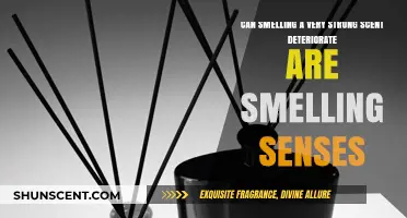 Strong Scents and Smell Sensitivity: Can Overpowering Aromas Deteriorate Olfactory Function?