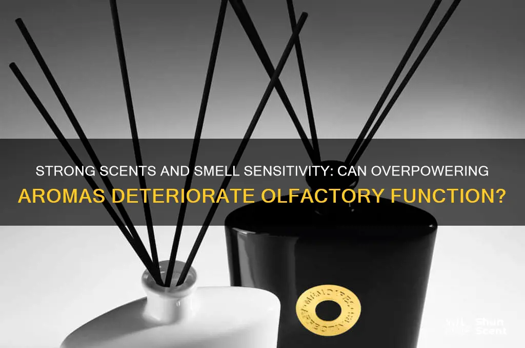 can smelling a very strong scent deteriorate are smelling senses