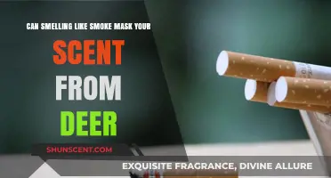 Does Smelling Like Smoke Fool Deer? Uncovering Scent Masking Myths