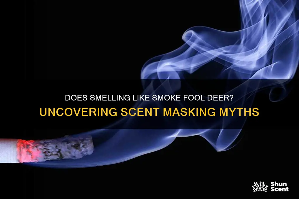 can smelling like smoke mask your scent from deer
