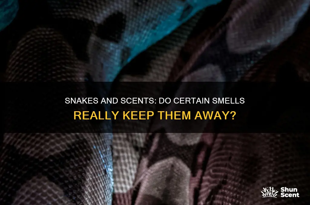 can snakes be repelled by scents