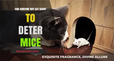 Using Cat Scent to Deter Mice: Effective Solution or Myth?