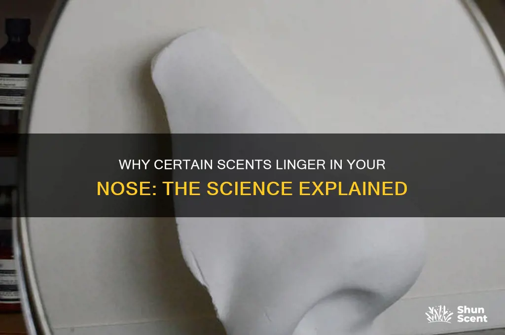can some scents stay in your nose