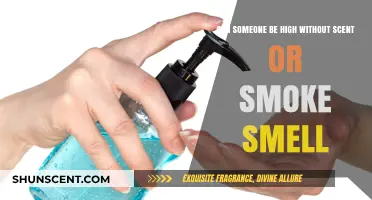 Can You Get High Without the Tell-Tale Scent or Smoke?
