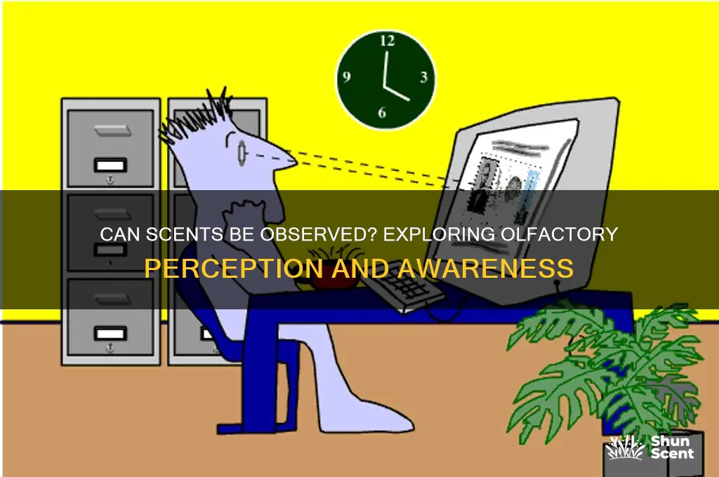 can something be observed by scent