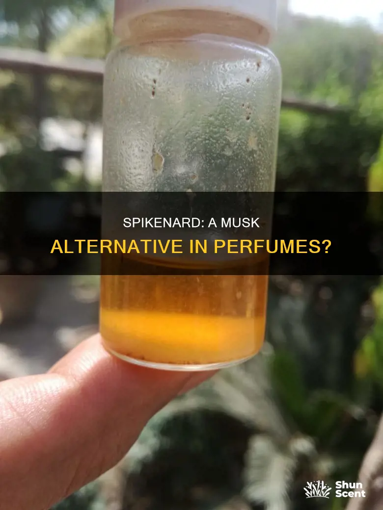 can spikenard be used in place of musk in perfume