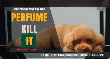 Spraying Perfume on Dogs: A Deadly Mistake?