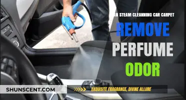 Steam Cleaning: Can It Remove Perfume Odor from Car Carpets?