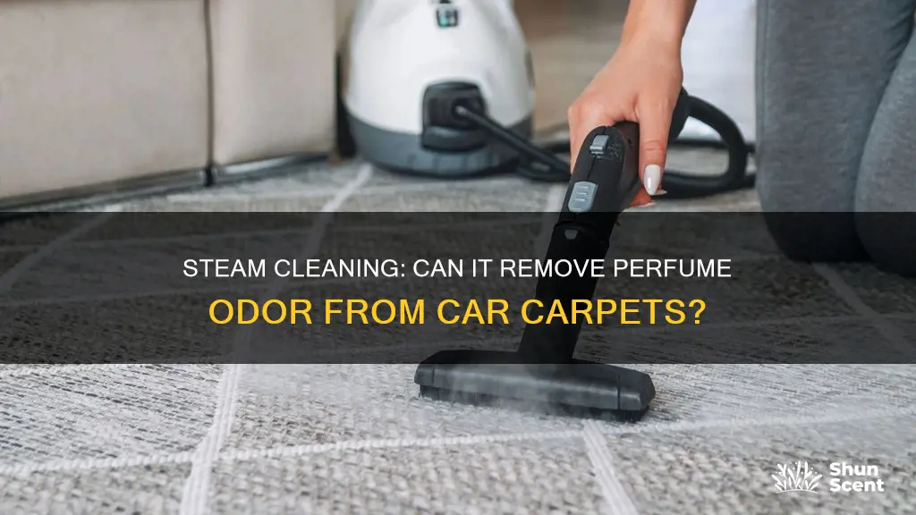 can steam cleanning car carpet remove perfume odor