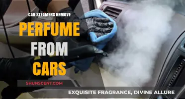 Steam Cleaners: Can They Remove Stubborn Car Perfume Scents?