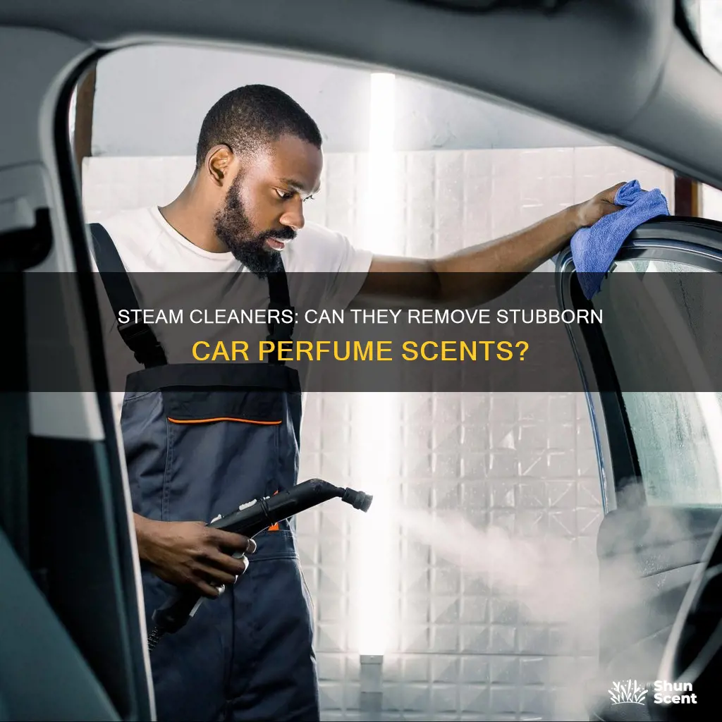 can steamers remove perfume from cars