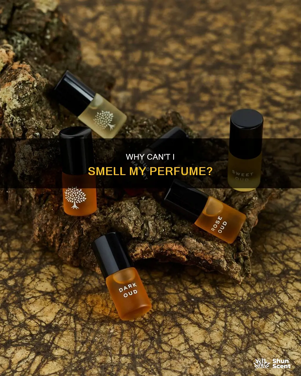 can t smell my own perfume