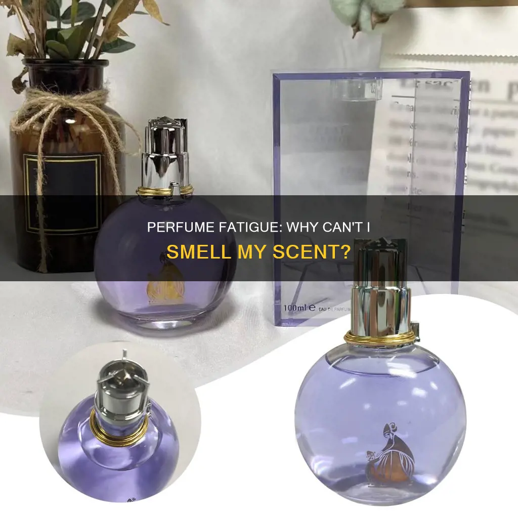 can t smell my perfume anymore