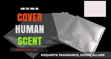 Can Tea Tree Oil Mask Human Scent for Outdoor Adventures?