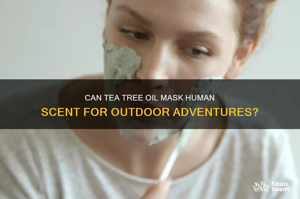 can tea tree oil cover human scent