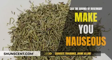 The Smell of Rosemary: A Nausea Trigger?