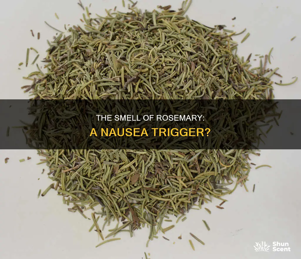 can the aroma of rosemary make you nauseous