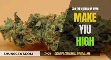 Weed Aroma: Can You Get High?