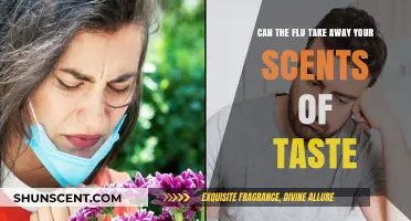 Can the Flu Steal Your Sense of Taste and Smell?