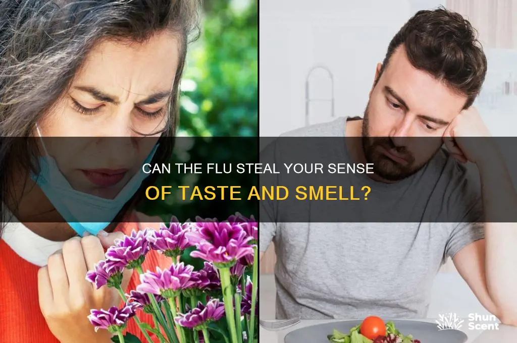can the flu take away your scents of taste