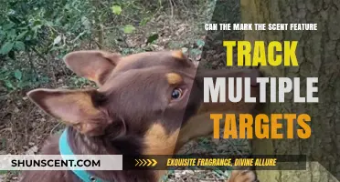 Can 'Mark the Scent' Track Multiple Targets Effectively in Real-Time?