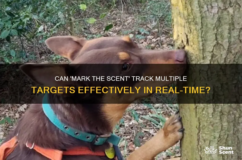can the mark the scent feature track multiple targets