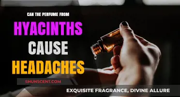 Hyacinth Scents and Headache Suspicions