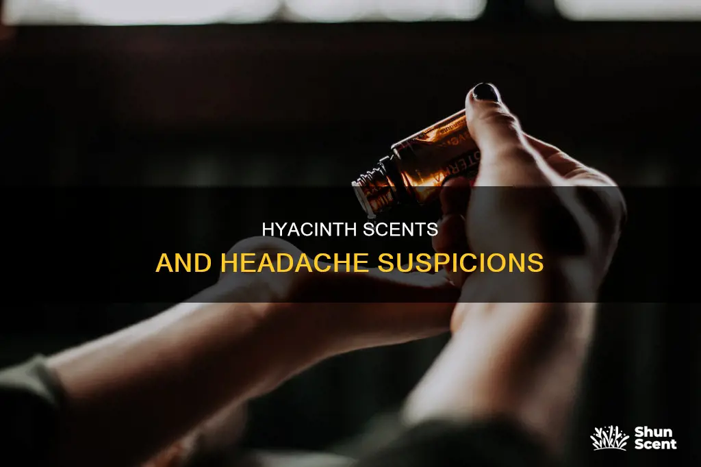 can the perfume from hyacinths cause headaches