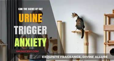 Can Cat Urine Smell Induce Anxiety? Exploring the Surprising Connection
