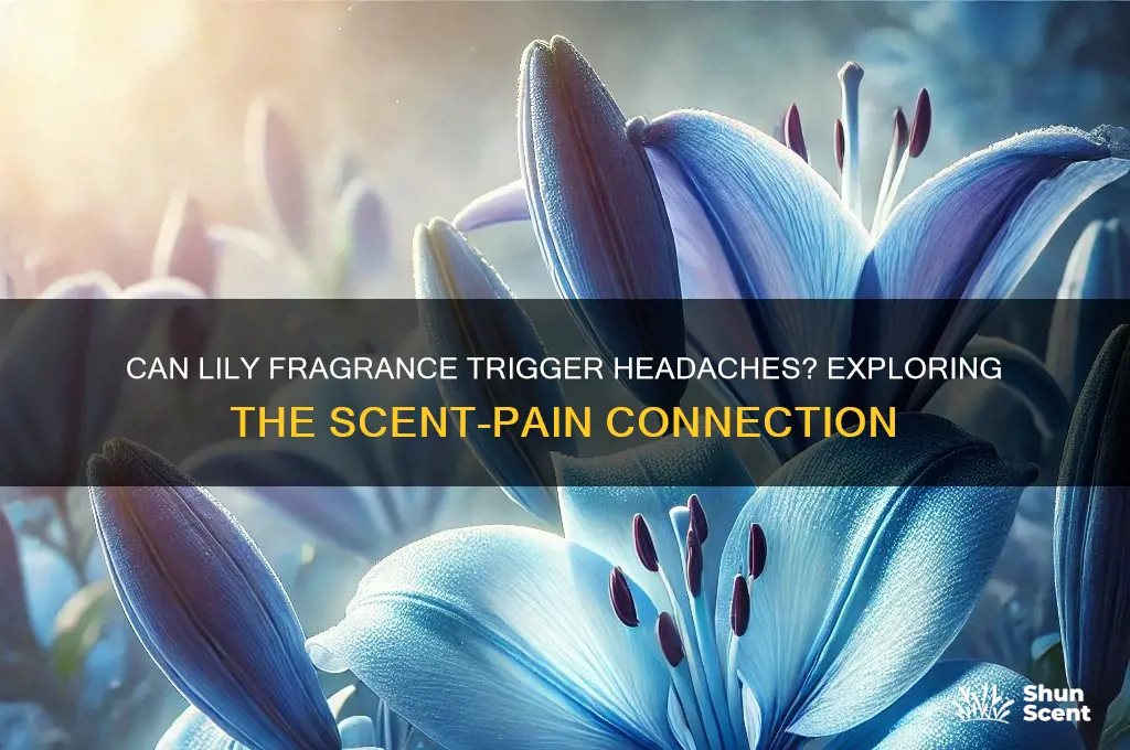 can the scent of lilies cause headaches