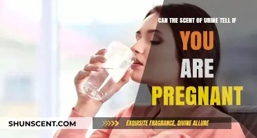 Can Urine Scent Reveal Pregnancy? Uncovering the Surprising Connection