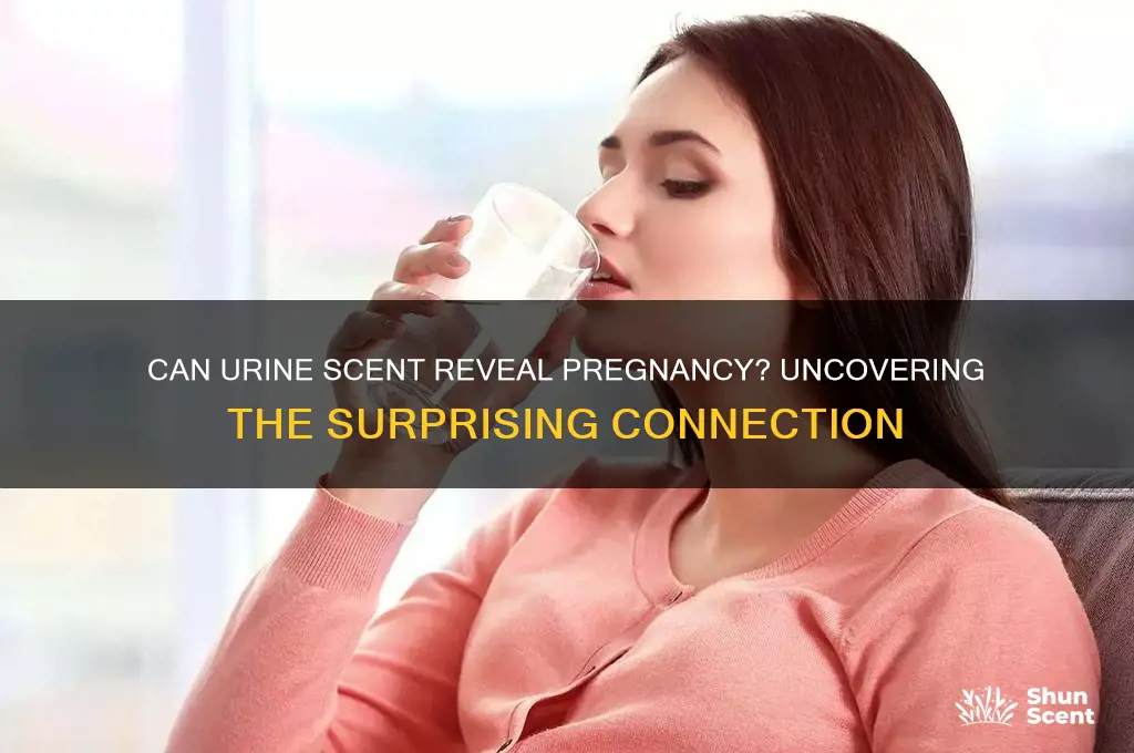 can the scent of urine tell if you are pregnant