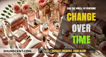 The Evolution of Perfume: Does Scent Change Over Time?