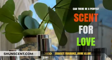 Can a Perfect Scent Truly Capture the Essence of Love?