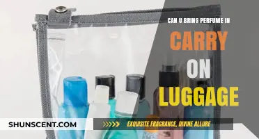 Traveling with Perfume: Carry-On Luggage Rules