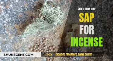 Burning Pine Sap for Incense: A Natural Fragrance